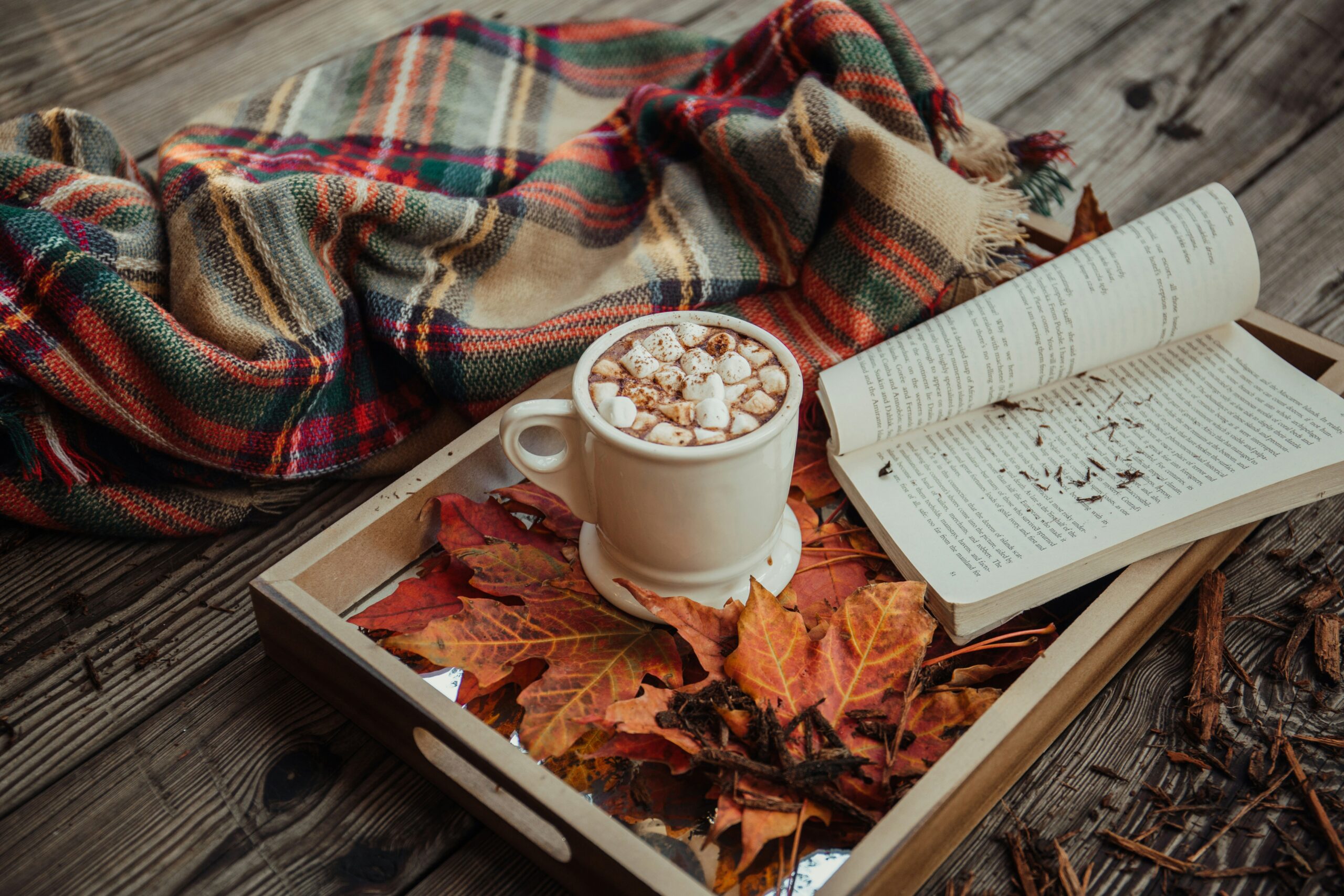 a cup of hot chocolate with marshmallows and a book on a tray